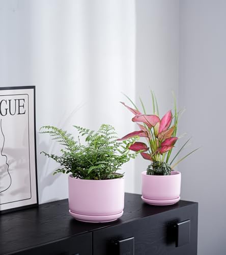 Plant Pots,Ceramic Planters with Drainage Holes&Saucer Set of 3(Matte Pink) - Image 7