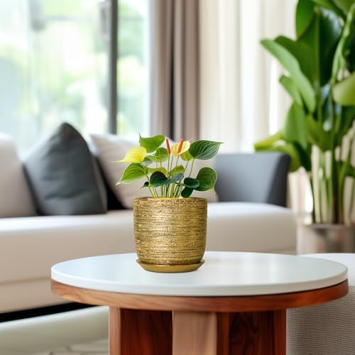 Succulent Pot 5 Inch, Ceramic Plant Pot for Indoor Flowers, Gold - Image 4
