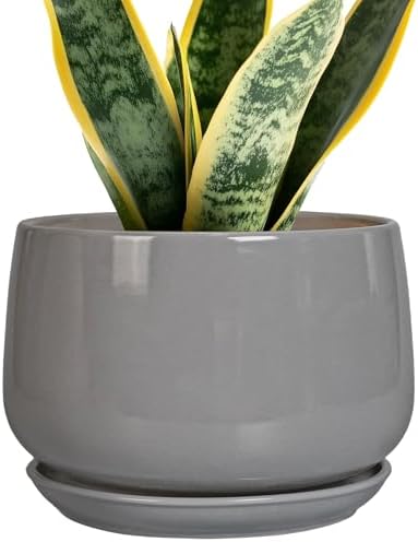 G EPGardening Ceramic Planter 7 Inch, Round, Modern, Gray by GEPGardening