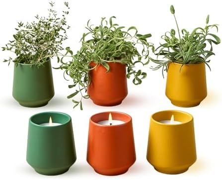 Modern Sprout - 2 in 1 Scented Candles w/Seeds that Grow into Plants -3 pk by ModernSprout