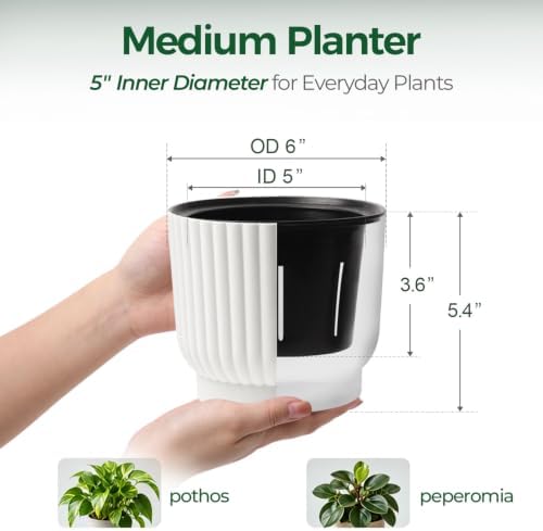 T4U Self Watering Pots for Indoor Plants, 6 Inch 6 Pack Planter White - Image 2
