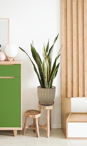Oairse Ceramic Pots for Indoor Plants, 7.8 inch Pots for Plants Brown Planters with Drainage Holes and Saucers Texture Ceramic Planters Indoor Outdoor for Succulent - Image 6