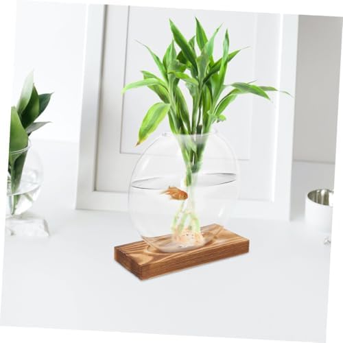 Glass Plant Propagation Station Round Vase with Wooden Base, 2pcs - Image 7