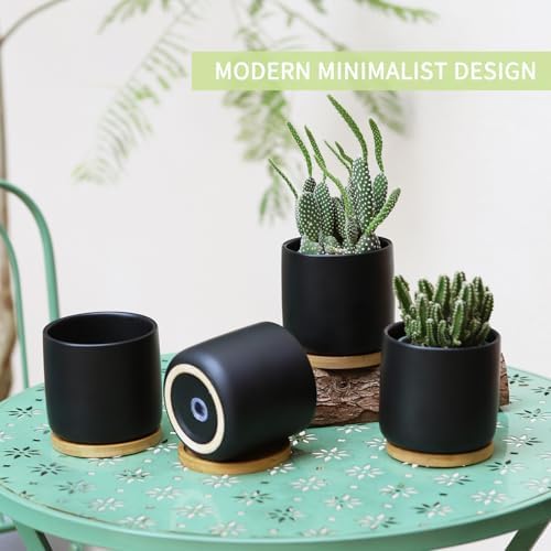 4" Ceramic Plant Pots with Drainage Holes & Trays Black Set of 4 - Image 5