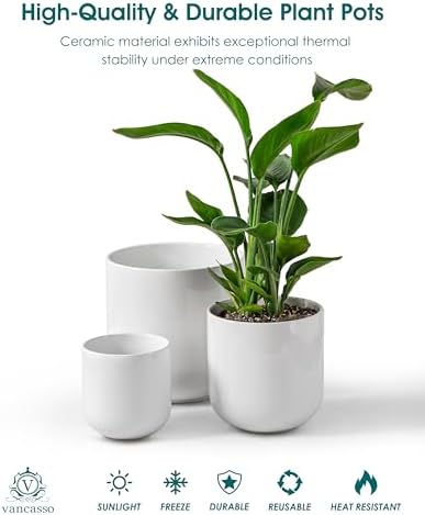 vancasso 6+8+10 inches Ceramic Plant Pots, Set of 3, Planters with Drainage Hole, Flower Pots Planters Pots for Indoor Plants, Modern Indoor Decorative Garden Pot, Home Decor, White - Image 4