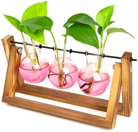XXXFLOWER Plant Terrarium Kit with Wooden Stand 3 Gradient Pink Bulb Vases by XXXFLOWER