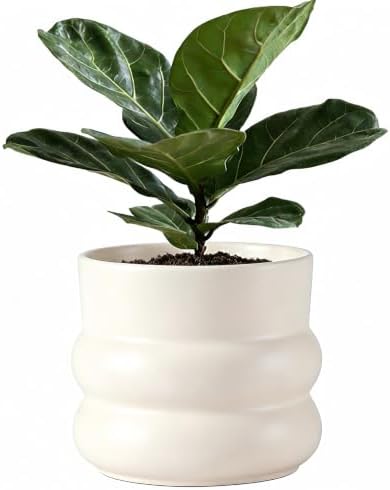 Ceramic Plant Pot,6 Inch Planters for Indoor Plants,Ceramic Planter Flower Pots with Drainage Hole,Home Office Garden Décor,(Pale Beige,Inner-pots not Larger Than 5 Inch) by FUYHE