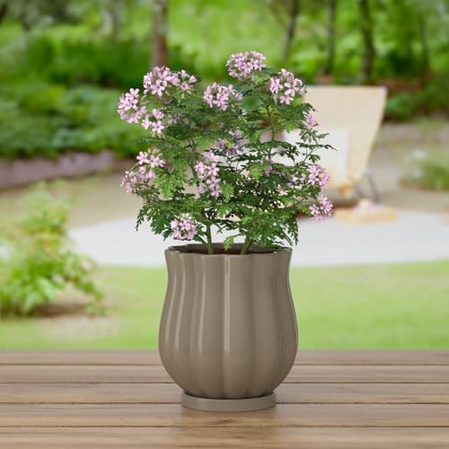 4.7" Brown Ceramic Plant Pot with Saucer - Image 5