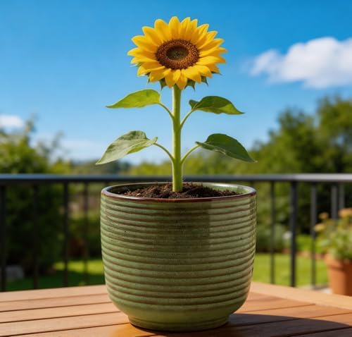 Ceramic Plant Pot, 5.12 Inch Small Planter with Unique Glaze, Home Decor Indoor Outdoor Flower Pot for Succulents Cactus Herbs, Living Room Office Decoration Farmhouse, Mint Green, No drainage hole - Image 7