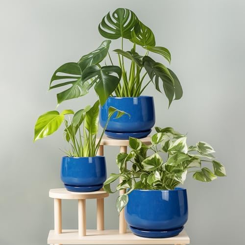 G EPGardening Round Ceramic Plant Pots, 7 Inch Modern Planter, Blue - Image 7