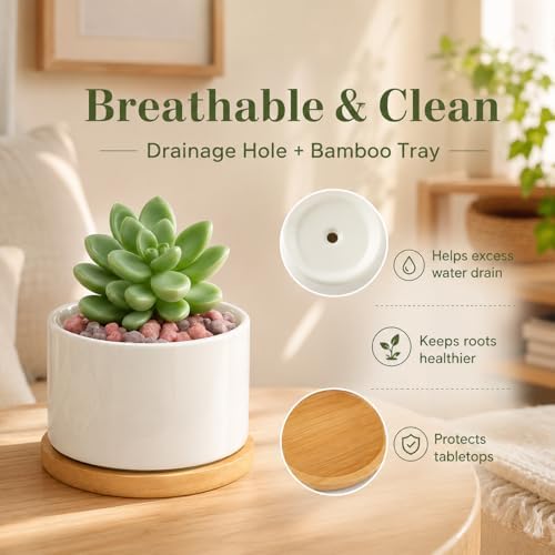ZOUTOG 4 Pack 3.1" Ceramic Succulent Pots,White Planter with Drainage Tray - Image 3