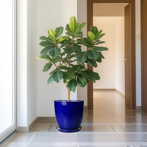 Ceramic Planter Pot - 12 Inch Pot for Plants Large Indoor Plant Pot with Drainage Hole and Saucer Fluted Round Planter for Outdoor Plants Flower Pot for Home Garden Blue - Image 6