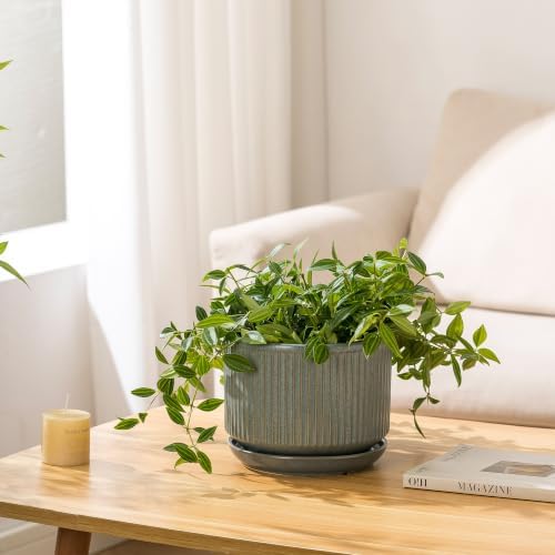 SURE YUESI Ceramic Plant Pots Set of 3, Indoor Outdoor Planters with Drainage Hole and Saucer, Ceramic Flower Pots for Indoor Plants, 4.3+5.5+6.8 Inch, Home, Garden, Patio and Office, Matte Green - Image 3