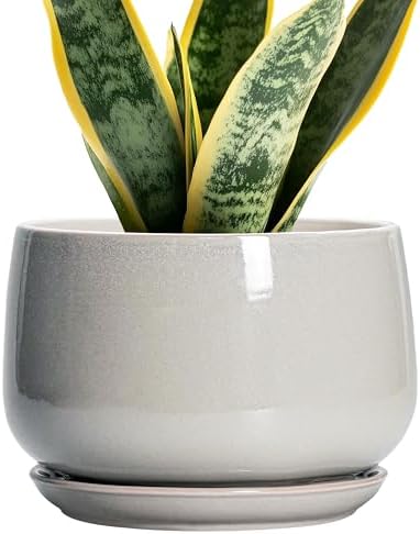 G EPGardening Ceramic Plant Pots, 7 Inch Plant Pot, Light Grey by GEPGardening