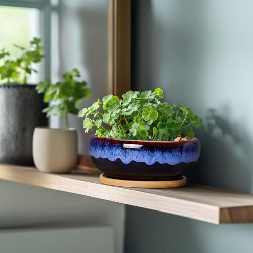 SQOWL 7 Inch Round Ceramic Succulent Planter Pot Drip Glazed Shallow Planter with Drainage Bamboo Tray for Indoor Plants - Image 4