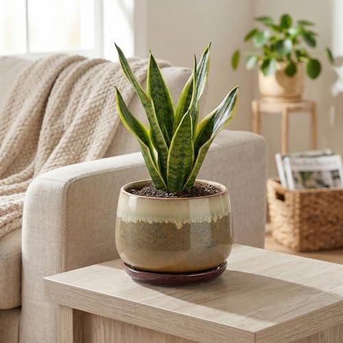 6 Inch Plant Pot - Ceramic Pots for Indoor Plants, Round Small Succulent Planter with Drainage and Saucer, Decorative Flower Pot, Office Room Decor, Gifts for Plant Lovers, Brown-Beige - Image 5