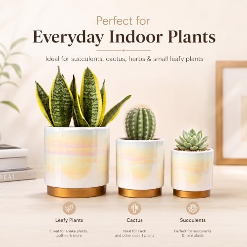 Gepege Ceramic Plant Pots for Indoor Plants, Planters with Drainage Holes - Image 2