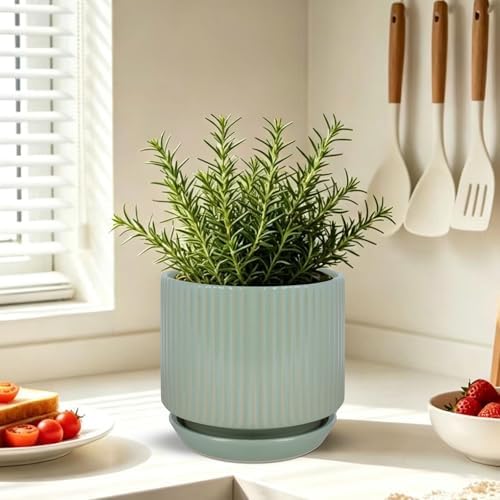 Ceramic-Flower-Pots-Sets-with-Saucer, 5/6/8 inch Small Planters for Indoor Plants with Drainage Hole, White Vertical Stripe Plant Pots for Home Decor, Outdoor Garden Pot For Succulent Cactus Herb - Image 7