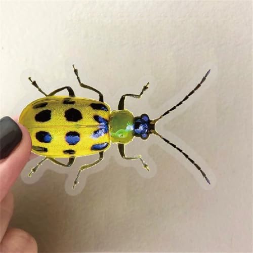 50PCS Cartoon Insects Stickers Aesthetic PET Transparent Insect Decal Waterproof Decorative Decals for Scrapbook DIY Crafts Album Bullet Journal Planner Water Bottles Laptop Phone (Insect) - Image 2