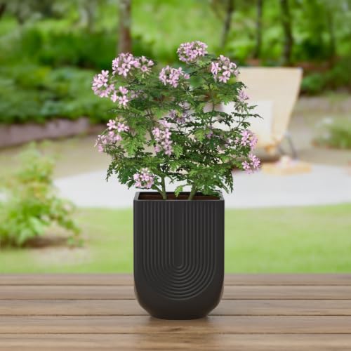Ceramic Planter, 6 Inch Square Plant Pot with Drainage, Matte Black - Image 3