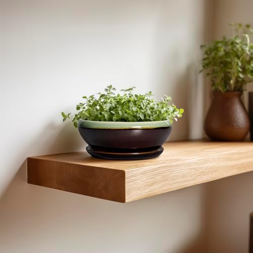 SQOWL Succulent Pots 6 Inch - Shallow Ceramic Planter, Bonsai Pot with Drainage Hole and Saucer, Round Ceramic Succulent Planter for Indoor Outdoor Plant, Kitchen Decor, Plant Lover Gift, Green-Brown - Image 4