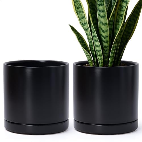 D'vine Dev 2-Pack Ceramic Pots with Saucers, Black, 8.2 in, 94-V-D-2 by DvineDevPlanterPotsandStand
