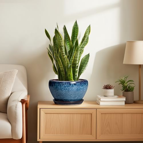 Ceramicfor Ceramic Pots for Plants - 9 Inch Plant Pot Indoor with Drainage Hole and Saucer, Ceramic Planters for Outdoor Plants, Round Modern Flower Pot, Housewarming Gifts, Home Decor, Blue - Image 4