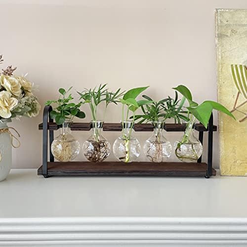 5-Bulb Plant Propagation Station, Glass Vase Terrarium, Wood Metal Stand - Image 5