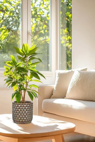 Oairse Small Ceramic Pots for Plants, 5.3 inch Brown Plant Pot Indoor with Drainage Ceramic Planters for Indoor Plants Succulent Planters Decorative Flower Pots for Cactus, Snake Plant, Herb - Image 6