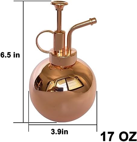 Stainless Steel Plant Sprayer, Small Watering Can Plant Misting Bottle, Modern Gardening Tools for Indoor Potted Plants Watering and Misting - Image 2