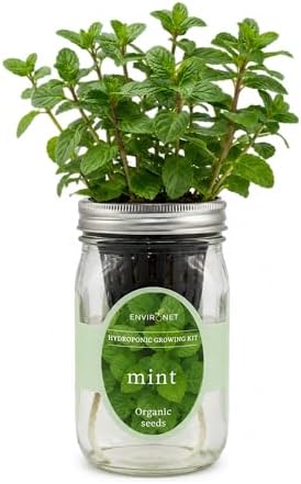 Hydroponic Herb Growing Kit, Self-Watering Mason Jar Herb Garden Starter Kit Indoor, Window Herbs Garden, Grow Your Own Herbs from Organic Seeds (Mint) by Environet