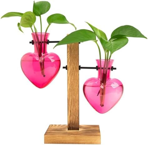 XXXFLOWER Plant Propagation Station Terrarium 2 Pink Heart Shaped Vase by XXXFLOWER