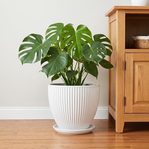 10 Inch Planter, Ceramic Plant Pots with Drainage Hole and Saucer, Modern Large Planters for Indoor Plants, Round Planter, Decorative Flower Pots, Living Room Decor, Gifts for Men Women, White - Image 6