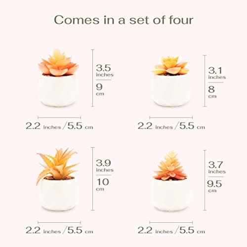 VIVERIE Mini Orange Artificial Succulent in Pots (White Ceramic, 4 Pot Set) Fake Plants for Indoors, Office Home Halloween/Christmas Decor Gifts-Faux Plant Gifts for Women - Image 2