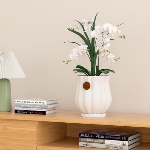 5.8" Matte White Ceramic Plant Pot with Saucer - Image 6