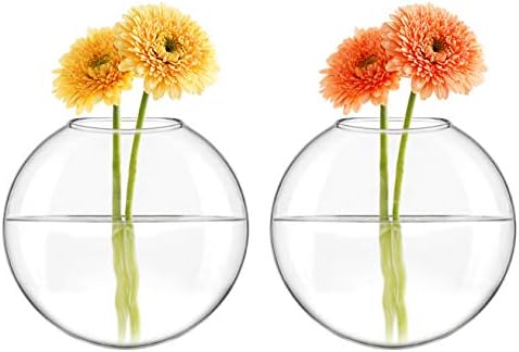 Mkono Wall Propagation Planters, 2 Pack Oblate Hanging Plant Holder Vase - Image 4