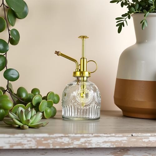 Glass Plant Mister Spray Bottle, 230ML Vintage Plant Spritzer, Succulent Watering Bottle Glass with Top Pump, Small Plants Sprayer Watering Can for Indoor Outdoor House(Clear) - Image 5