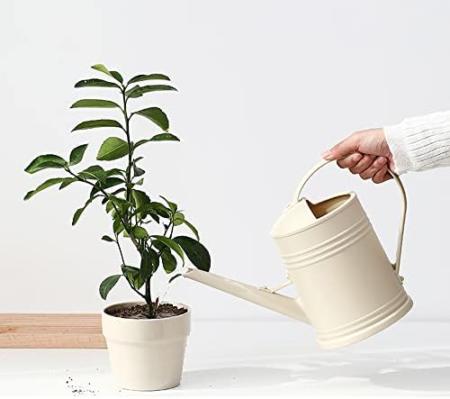 Watering Can for Indoor Plants, Flower Watering Can, Plastic Water Can for Plants with Sprinkler Head 68 oz, 1/2 Gallons - Image 4