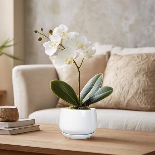 G EPGardening Ceramic Plants Pots - 4 inch Succulent Pots for Indoor Outdoor, Small Planter with Drainage Hole & Saucer, Round Planter, Modern Flower Pot, Office Decor, Plant Lovers Gifts, White - Image 5