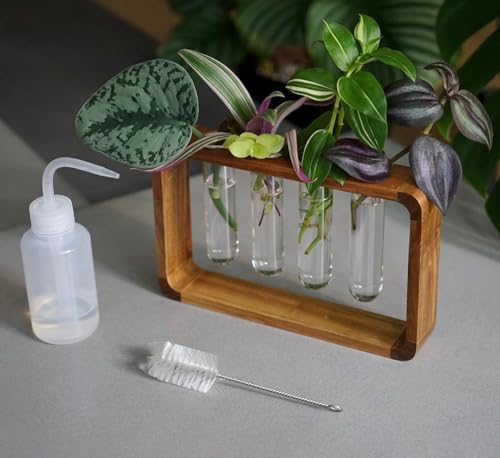 Source & Plot Plant Propagation Station - Acacia Wood Stand with 4 Glass Test Tubes, Tabletop Hydroponic Terrarium Planter Rack for Rooting & Houseplant Decor, Gift for Plant Lovers by Unknown