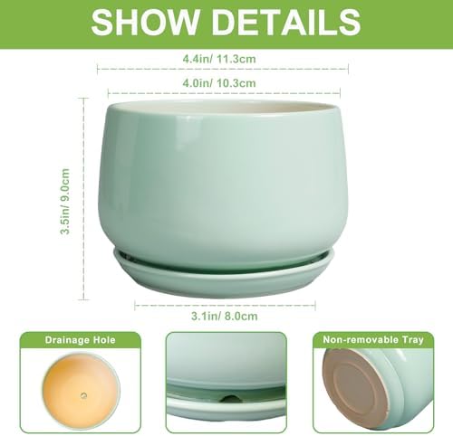 G EPGardening Ceramic Plants Pots - 4 inch Plant Pots Indoor Outdoor, Small Succulent Planter with Drainage Hole & Tray, Modern Flower Pot, Round Decorative Planters, Office Decor, Garden Gift, Green - Image 2
