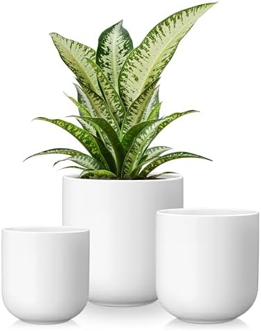 vancasso Ceramic Plant Pots, 4+5+6 inches, Set of 3, Planters with Drainage Hole, Flower Pots Planters Pots for Indoor Plants, Modern Indoor Decorative Garden Pot, Home Decor, White by vancasso
