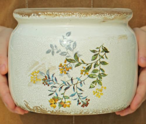 Rustic Cottage Ceramic Plant Pot with Decorative Saucer, Plant Lover Gifts - Image 4