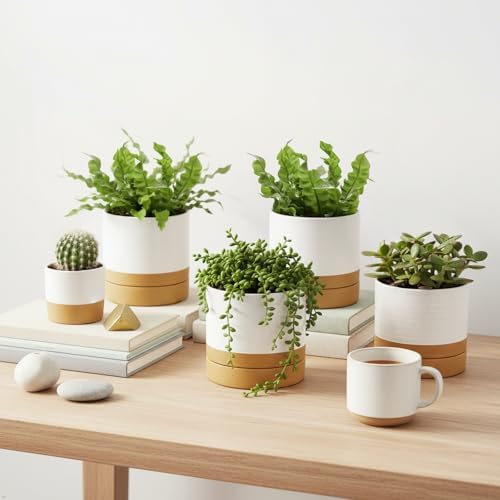 HASENSE Small Plant Pots, 4.6 Inch Ceramic Flower Pots with Two-Tone Glaze Design, Indoor Outdoor Planter with Drainage Hole and Saucer, Cute Tabletop Decor, 4 Pack, White-Brown - Image 4