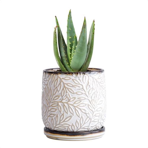 D'vine Dev Embossed Leaves Ceramic Planter, 4 in, Smoked White, 27-A-Z-1 by DvineDevPlanterPotsandStand
