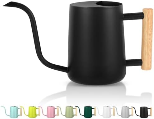 GUKJOB Plant Watering Can,35oz Metal Watering Can,Stainless Steel Indoor Plants with Long Curved Spout,Small Bonsai Outdoor Garden Modern Decorative(Black) by GUKJOB