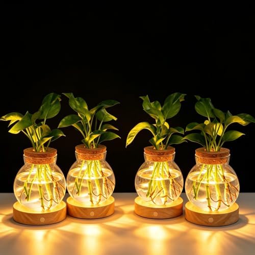 Plant Propagation Station with Light,Everkeen Glass Terrarium with Stepless Dimming Function Hydroponic Glass Container Vase Jars Gardening Gifts for Mom Women Plant Lovers 4 Pack by WelcometoEverkeen
