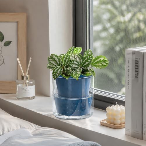 D'vine Dev Self-Watering Blue Terracotta Planter Pot, 4 in, 37-X-A-4 - Image 6