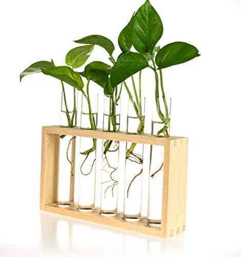 Wooden Propagation Station with 5 Glass Test Tubes, Tabletop Glass Terrarium Holder for Plant Cuttings Hydroponics, Home Office Desk Decor Gift for Women Mom Plant Lovers, Beige - Image 2