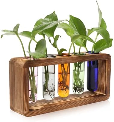 Glass Plant Propagation Station with 5 Test Tubes Colorful Planter Vase by YYHglass